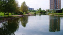 Площадка для воркаута в городе Москва №4219 Средняя Советская фото